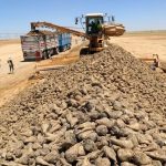 دعم صيني وتمويل إماراتي لمشروع ضخم يغني مصر عن إستيراد السكر