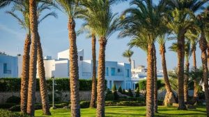 أثرياء المانيا و الإمارات الأكثر استثمارا في العقارات في مصر