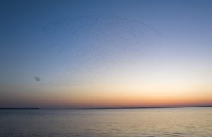 البرازيل تمتلك اكبر احتياطيات العالم من المياه العذبة