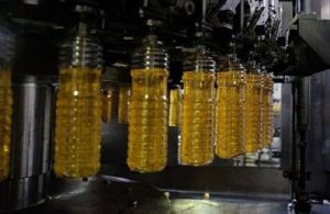 إليوشين: روسيا تحتل الصدارة في تصدير زيت عباد الشمس